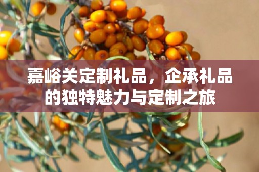 嘉峪关定制礼品，企承礼品的独特魅力与定制之旅