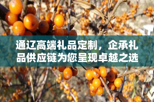 通辽高端礼品定制，企承礼品供应链为您呈现卓越之选