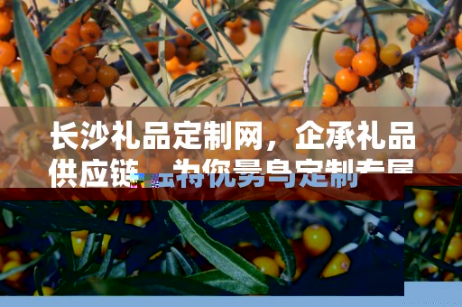 杭州热销礼品定制，企承礼品供应链的独特优势与定制之旅